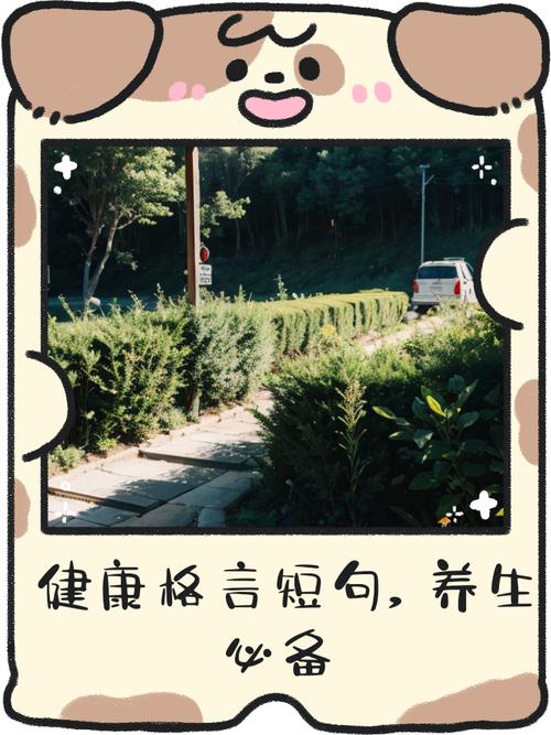 为何名言总劝人惜健康？-图2