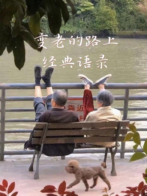 老去,是福是祸?-图2 老去,是福是祸?-图2