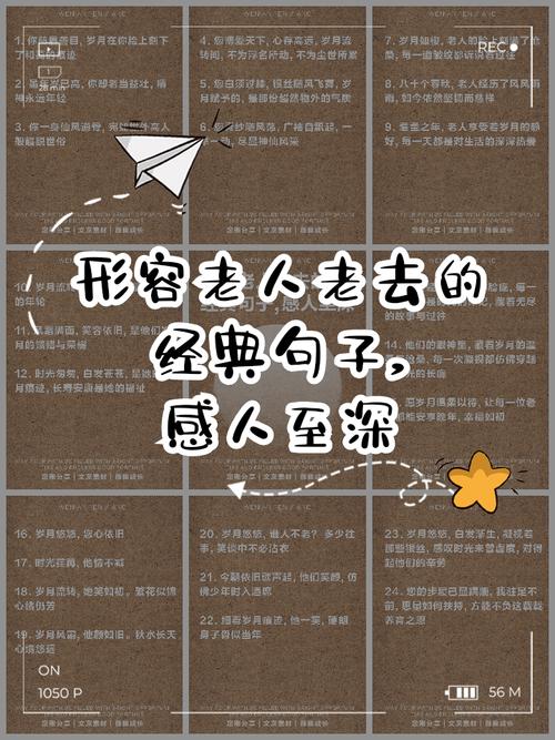 老去，是福是祸？-图3