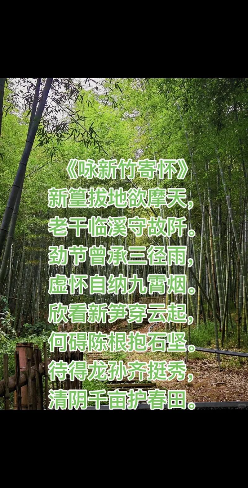 春笋诗中藏何意？-图3