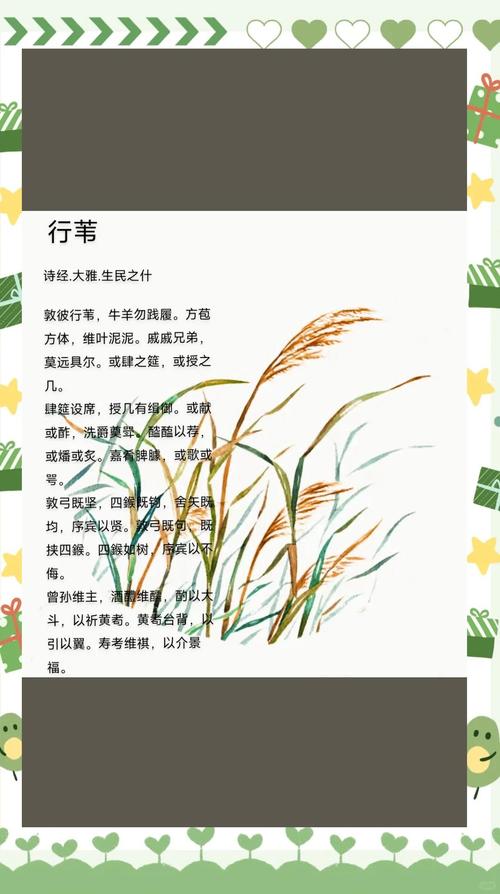 芦苇诗中藏着什么？-图1