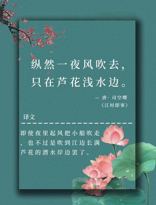 芦苇诗中藏着什么？-图3