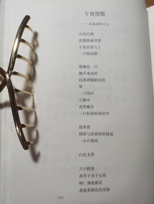 洛夫诗歌有何独特艺术魅力？-图2