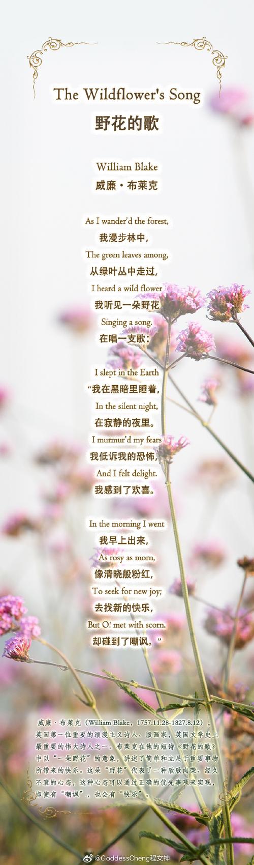 诗歌何以成艺术？-图1