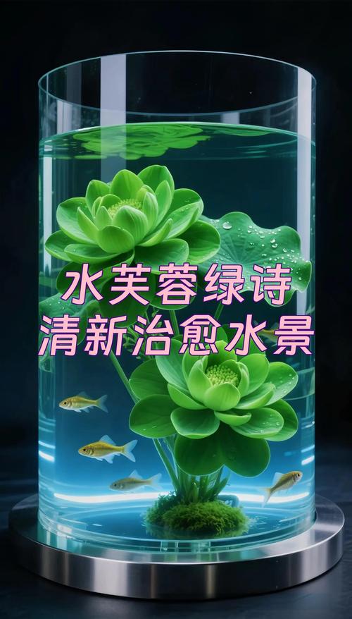 绿色诗中藏何情？-图3