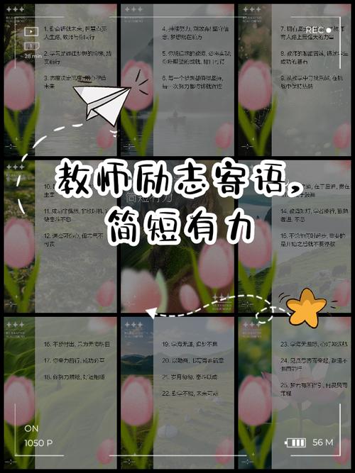 教师学生名言有何深意？-图3