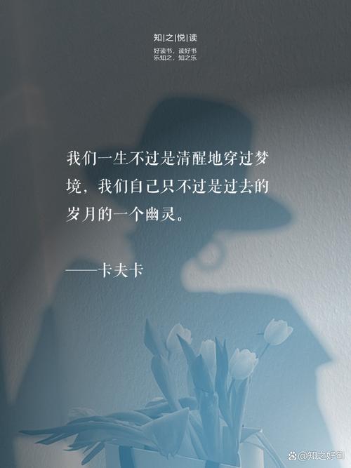 生命渺小，何以警醒世人？-图1