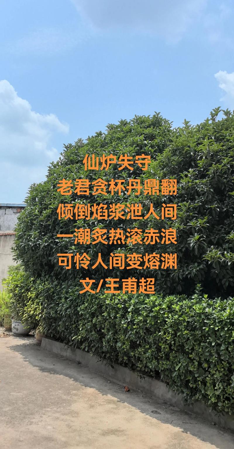 医院里的诗,藏着怎样的温度?-图2 医院里的诗,藏着怎样的温度?-图2