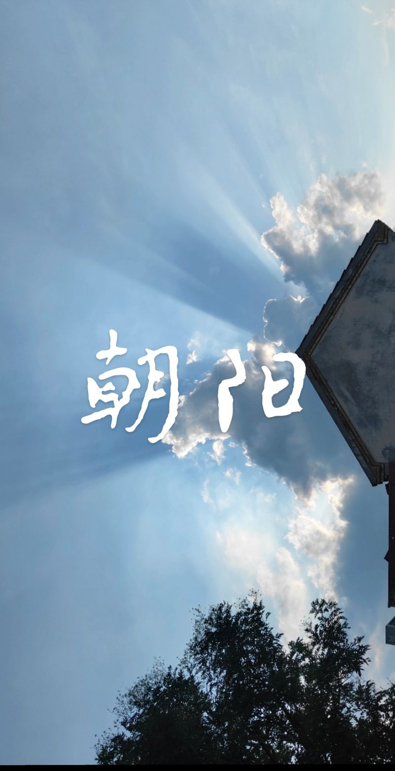 朝阳的诗歌有何独特魅力？-图3