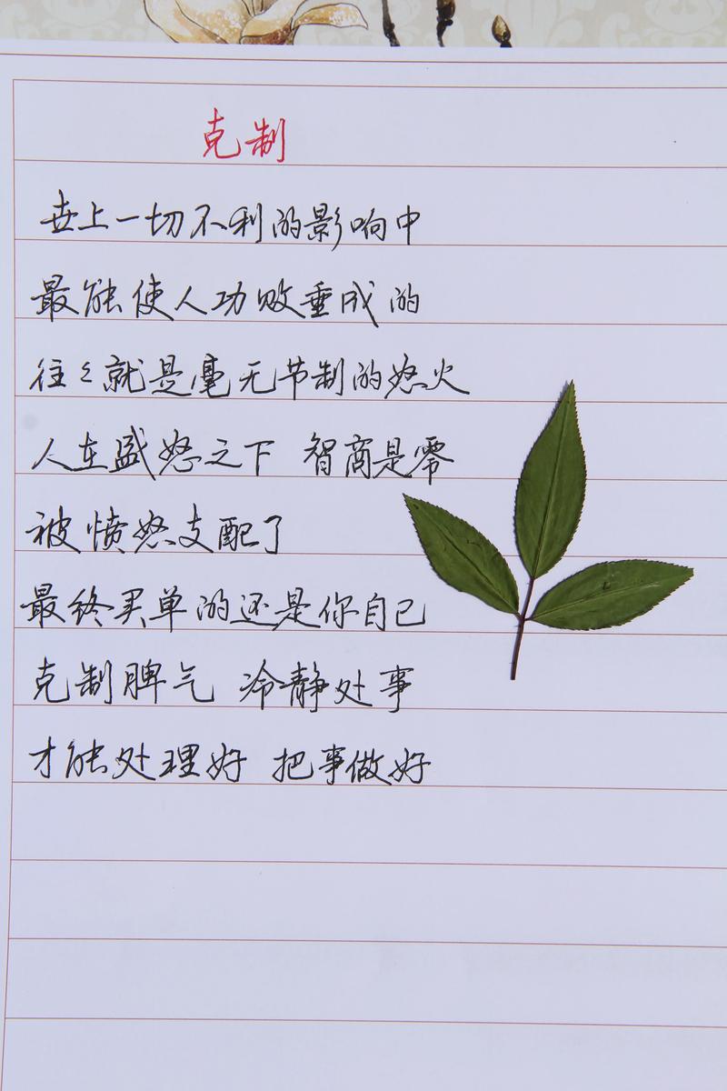 如何戒急躁？名言警句来支招-图3