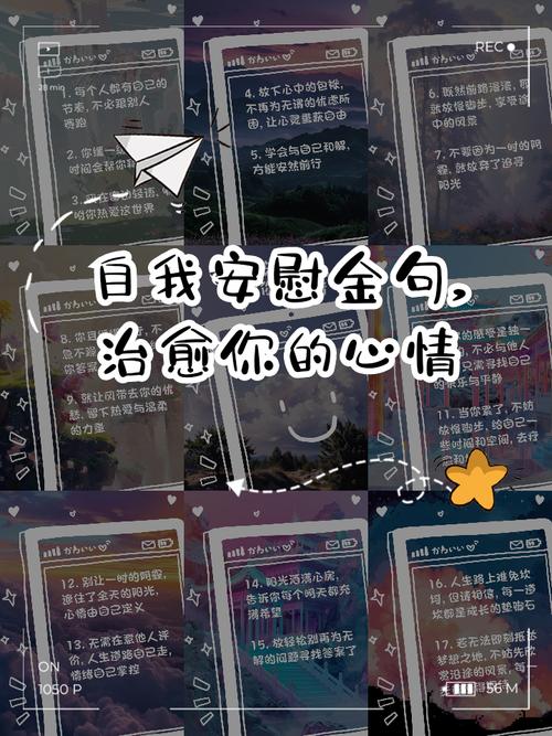 名言如何真正安慰人？-图3