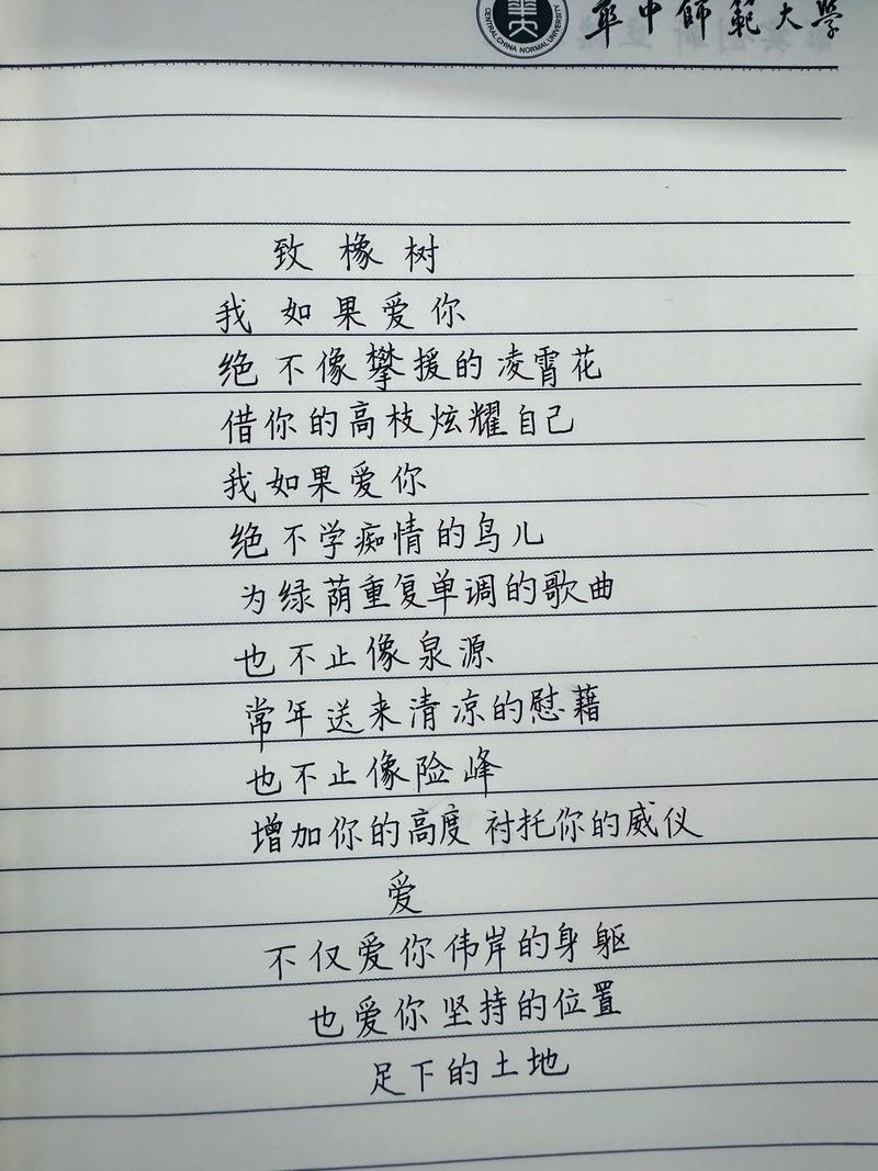 爱诗，是爱我吗？-图3