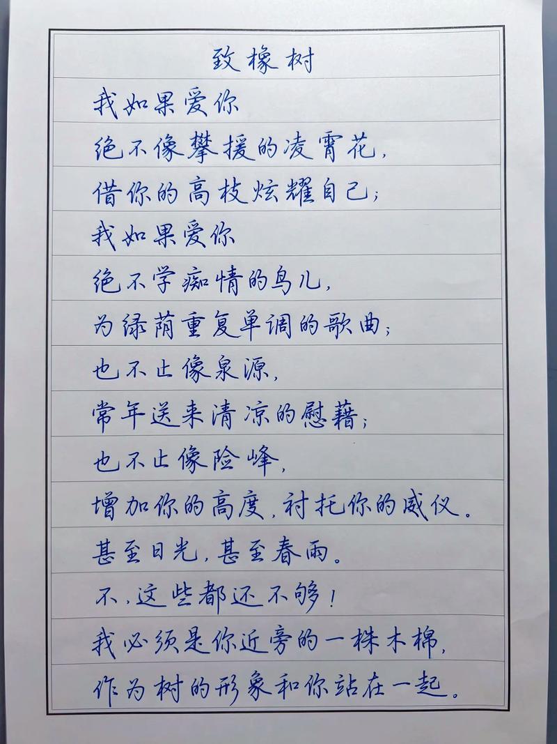 爱诗，是爱我吗？-图2