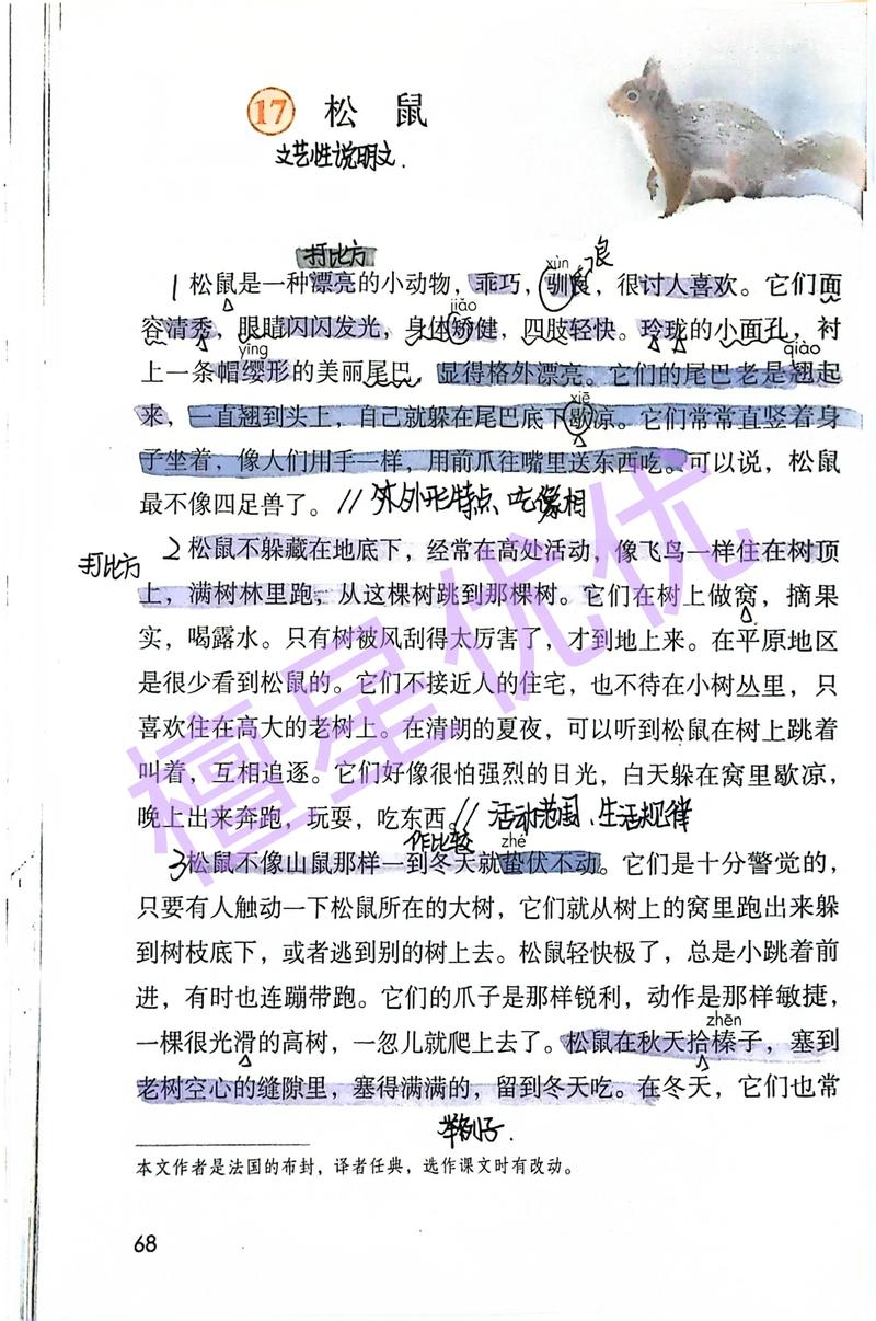 松鼠入诗，何魅力？-图1