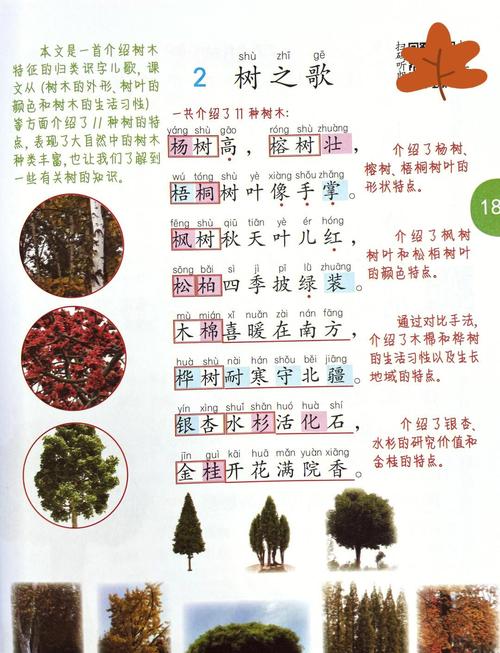 树的诗歌，藏着多少人间故事？-图2