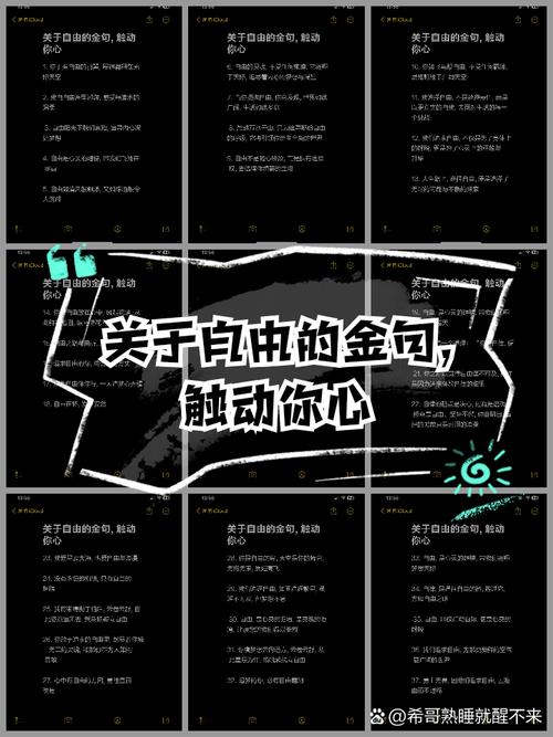 自由名言，何为真谛？-图1