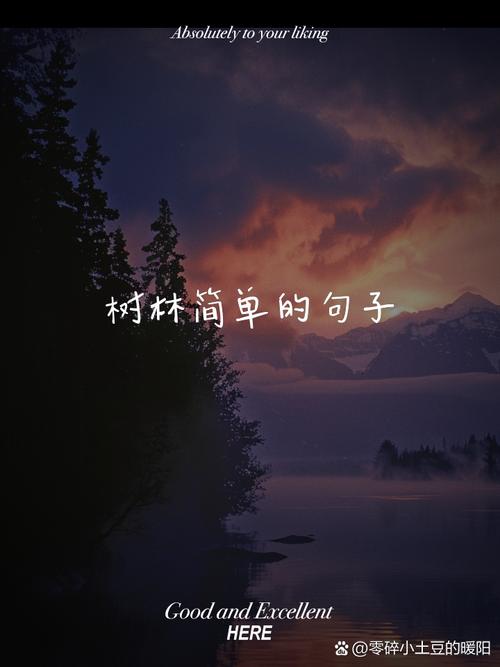 森林名言藏着怎样的自然智慧？-图2