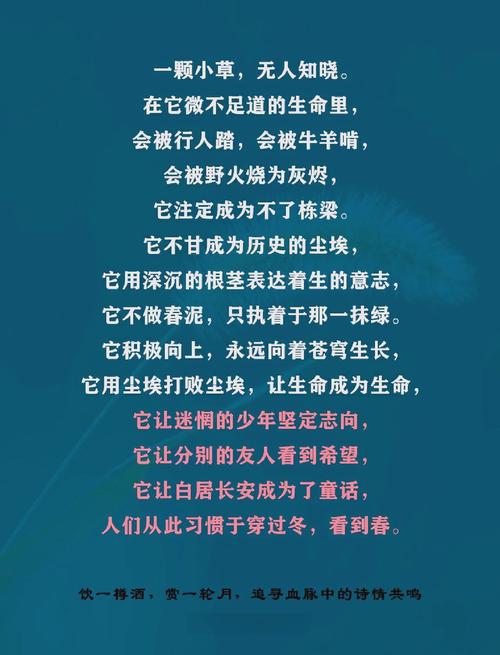 坚强诗歌,何为坚强真意?-图3 坚强诗歌,何为坚强真意?-图3