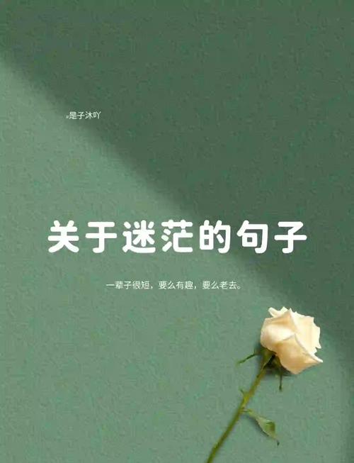 名言为何会迷失？-图1