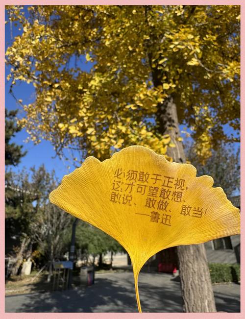 叶名言有何深意？-图3