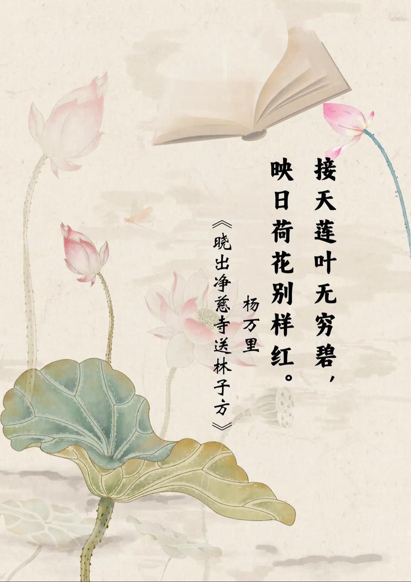 莲夏荷诗，何韵何情？-图2