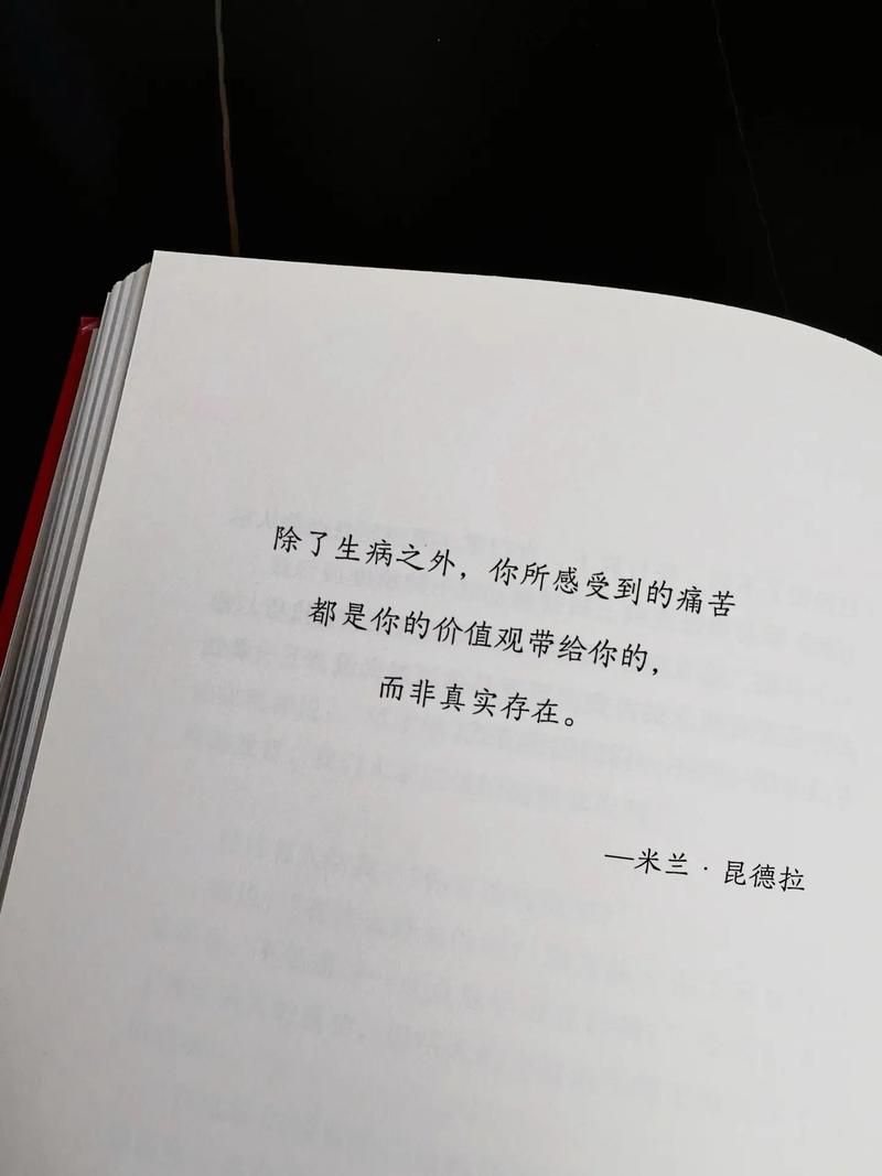 米兰·昆德拉名言原句是哪句？-图3