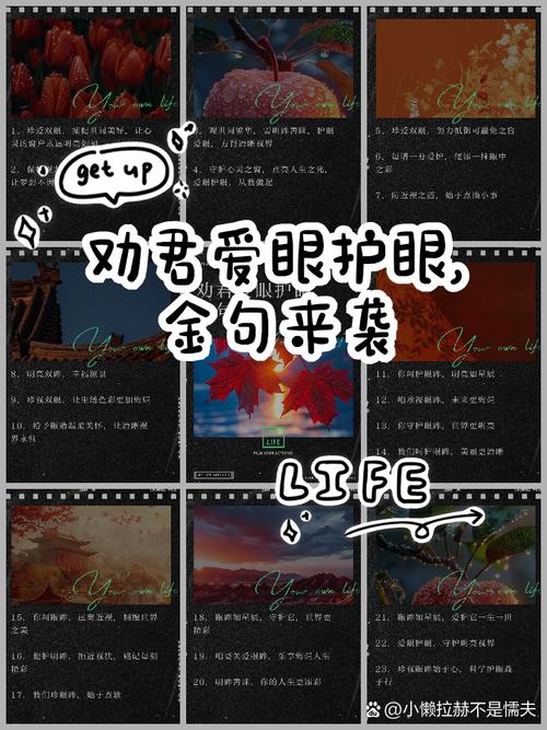 眼诗何意?-图1 眼诗何意?-图1