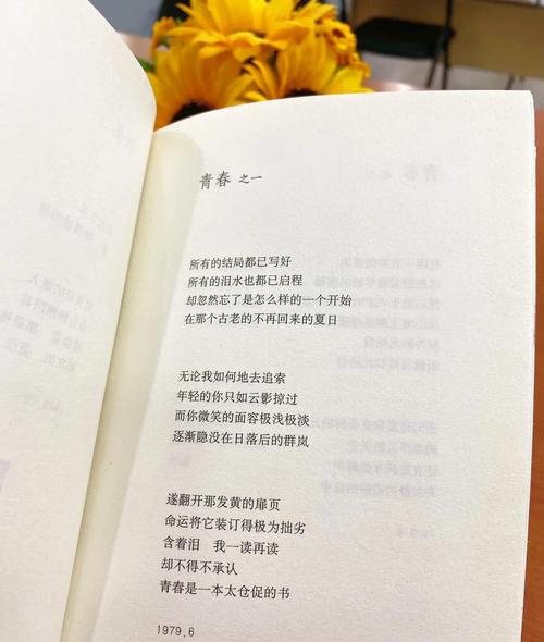 青春诗歌，藏着怎样的秘密？-图1
