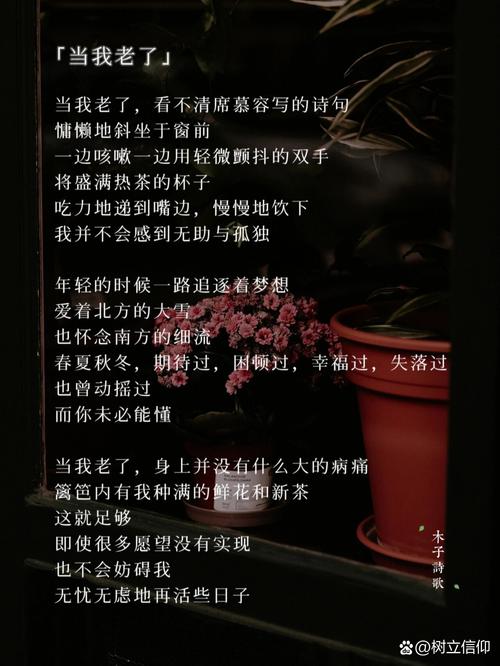 诗歌《老了》-图1