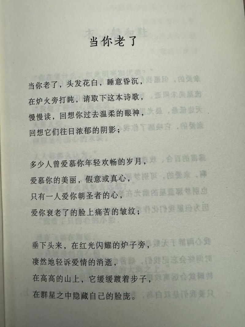 诗歌《老了》-图3