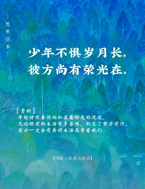 类似中华少年的诗歌-图1