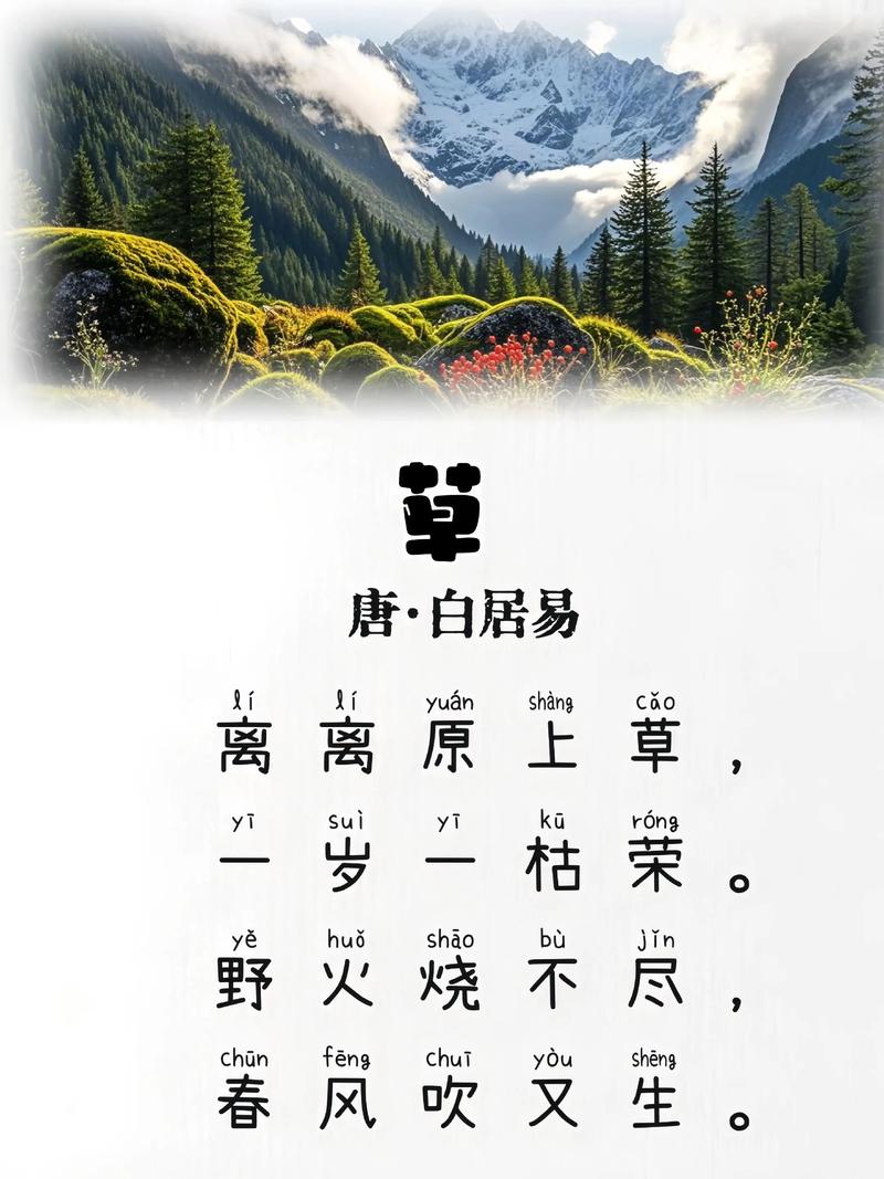 小草诗集藏着怎样的诗意？-图2