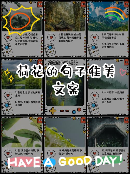 何为荷花魂？-图1