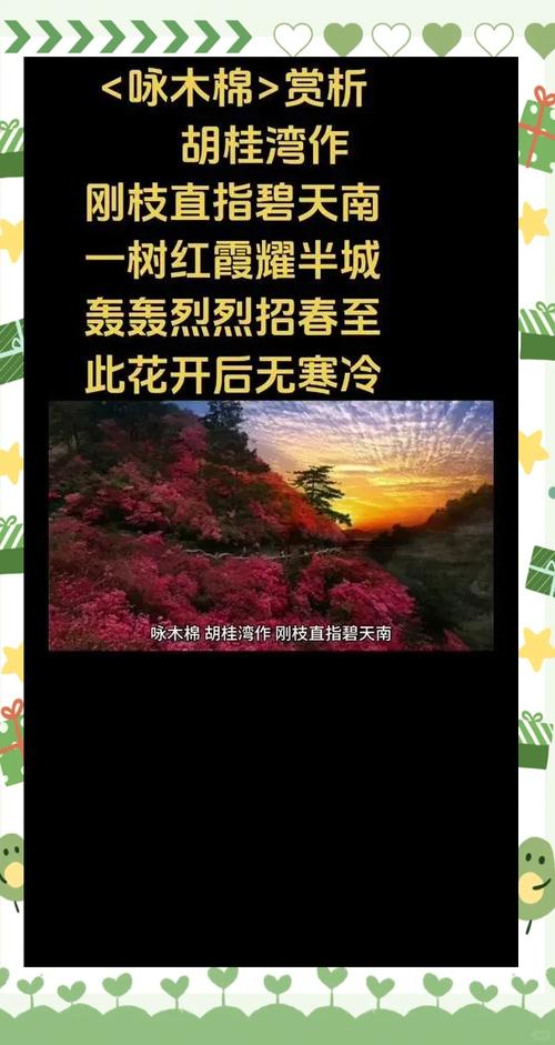 木棉花 诗歌-图2