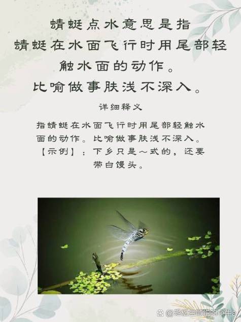 蜻蜓的名言是啥？-图2