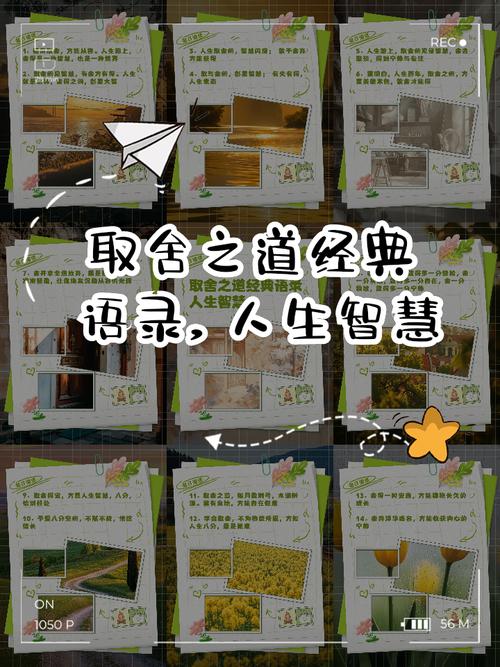 何为舍弃的真谛？-图3