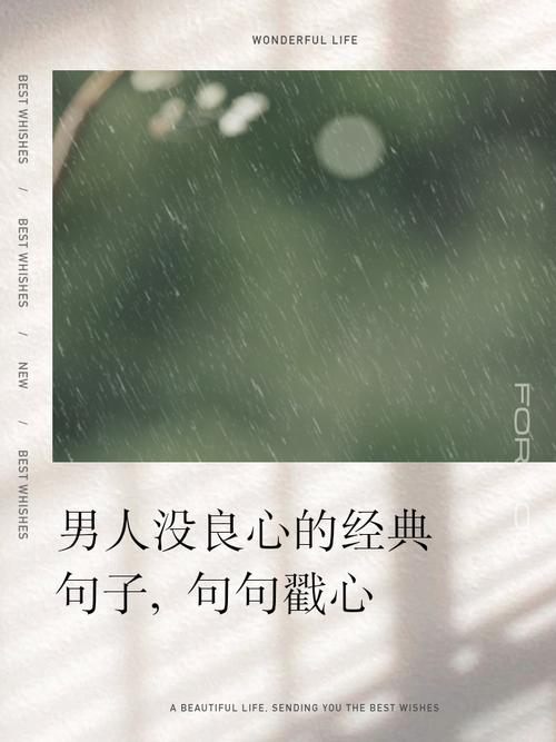 没良心名言是毒鸡汤吗？-图1