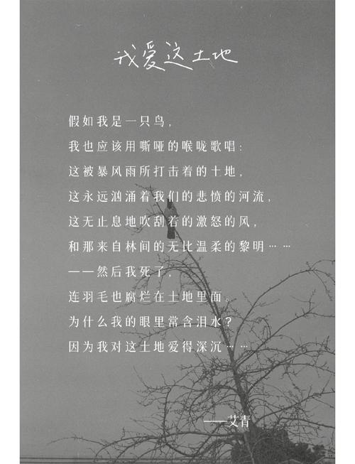 土地诗歌,为何令人热爱?-图2 土地诗歌,为何令人热爱?-图2