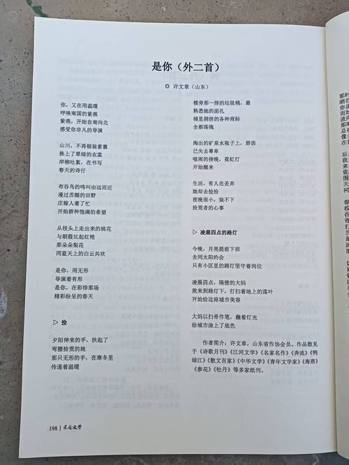 2025诗歌征文，主题何在？-图3