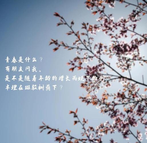 青春寄语名言，藏着什么成长智慧？-图2