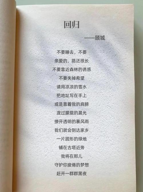 顾城的诗歌特点-图3