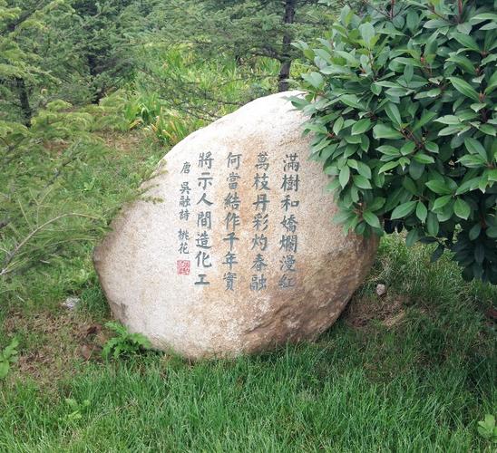 石头写诗，何为诗魂？-图3