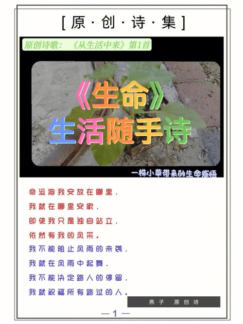 生命是什么的小诗歌-图1