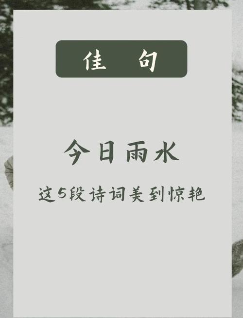 雨露名言蕴含何深意？-图1