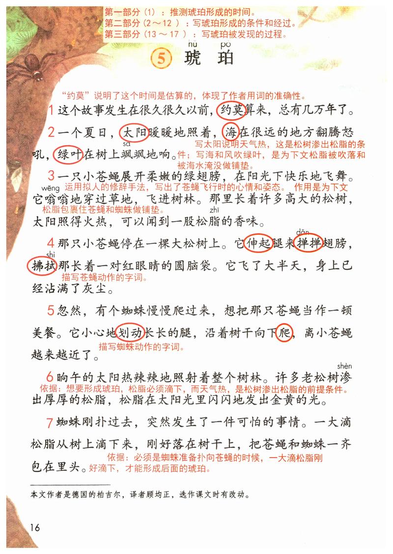 琥珀的诗，凝固了时光还是灵魂？-图1