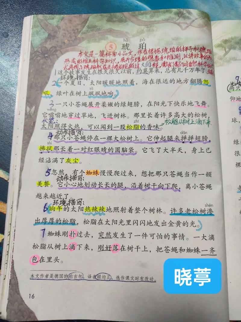 琥珀的诗，凝固了时光还是灵魂？-图3