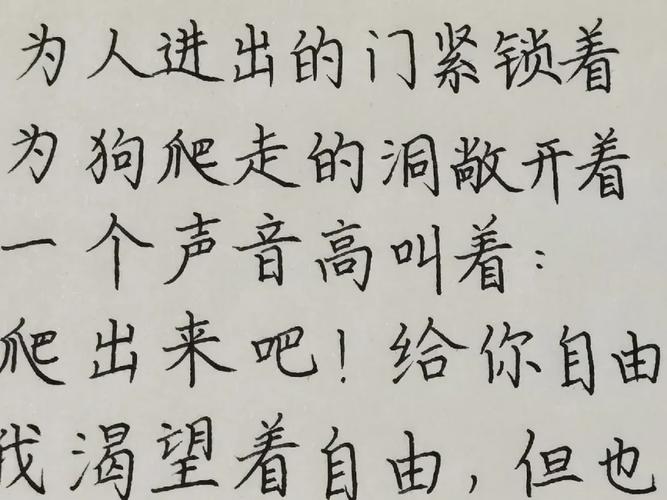 篮球与诗歌，如何共舞？-图2