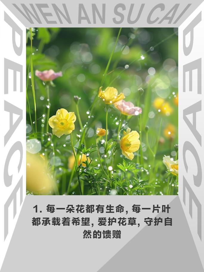 花草名言有何深意？-图2
