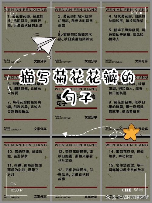 花瓣的名言-图2
