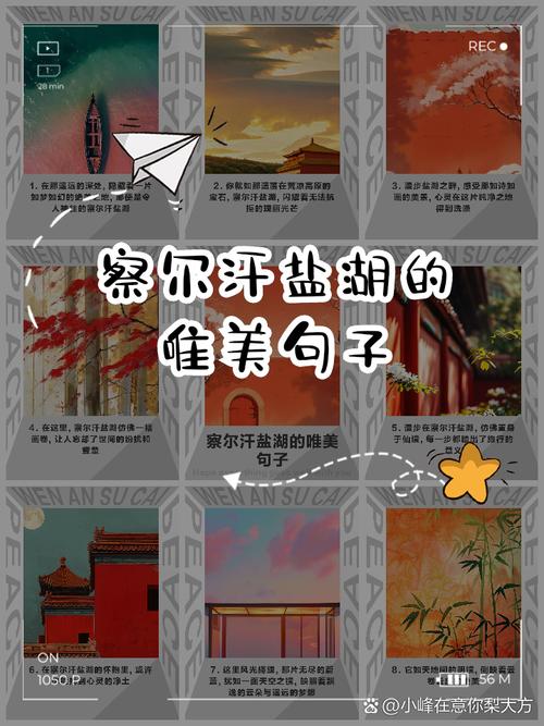 海盐诗歌何以如诗如画？-图1